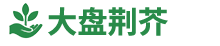 杭州大盘荆芥科技